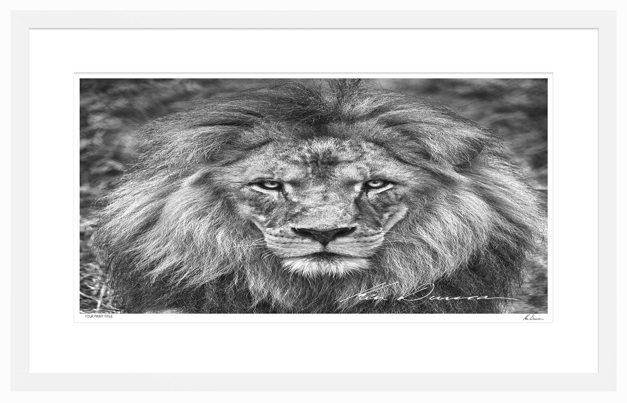 2.7:1 50inch Mocha Box Frame